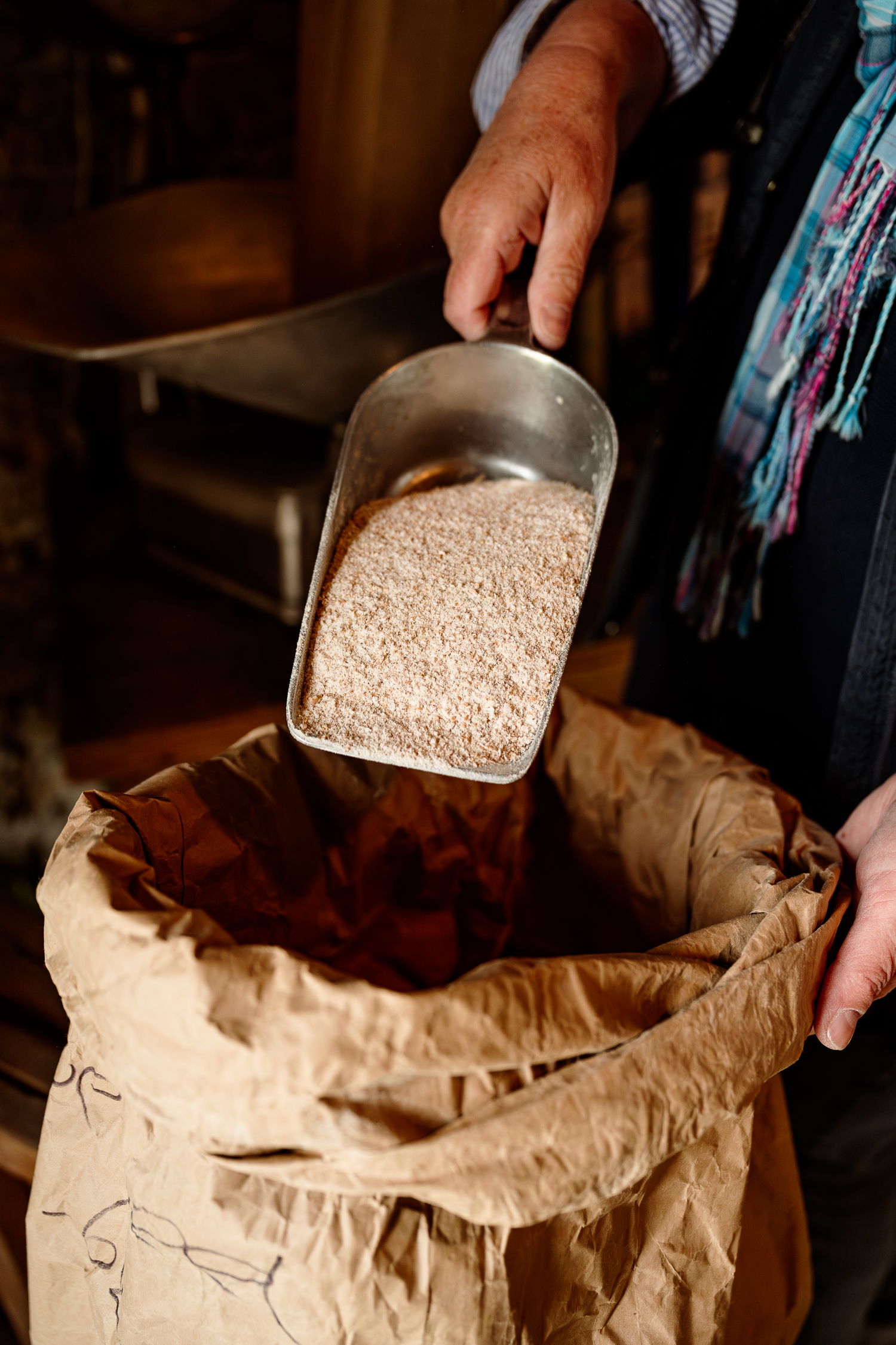 MOLEN RIJSOORD - PRISCA VISSER LR-58